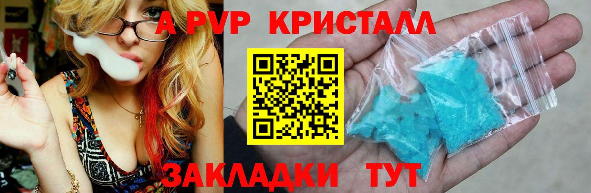 A PVP крисы CK Луга