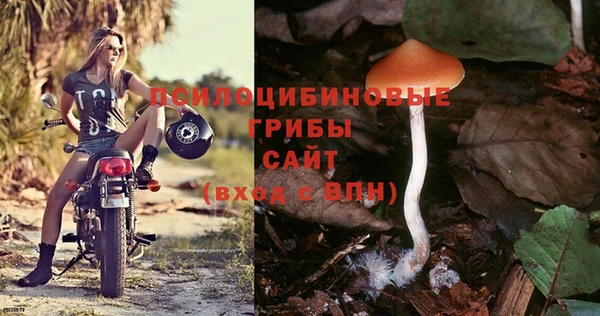 альфа пвп Пересвет