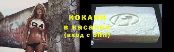 хмурый Губаха