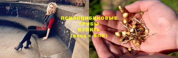 a pvp Пестово