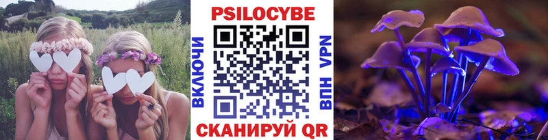 Галлюциногенные грибы Psilocybine cubensis  Луга 