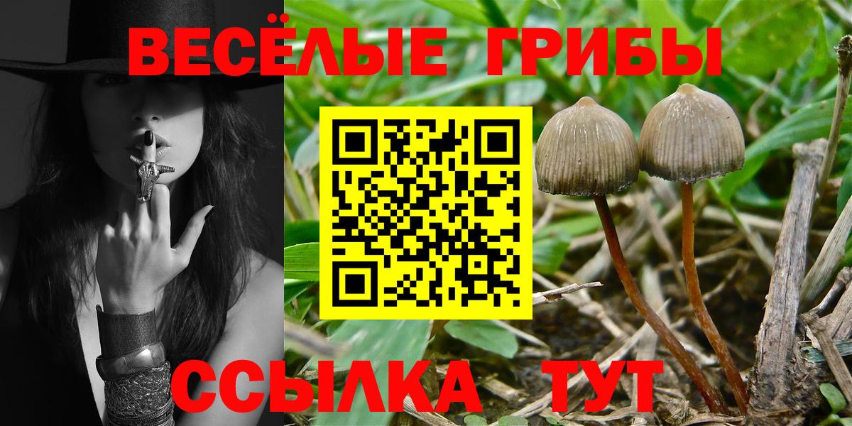 Луга  Псилоцибиновые грибы GOLDEN TEACHER  Галлюциногенные грибы Cubensis  Вход с VPN 
